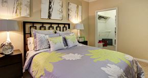 Houston apartment for rent - Spacious bedroom with walk-in closet and ceiling fan at Tuscany Oaks Apartments in Houston.