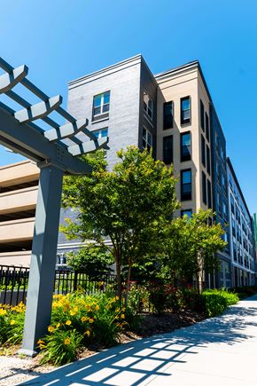 Wyandanch apartment for rent - A modern building with a tree and a bench in front.