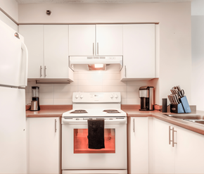 Toronto apartment for rent - 100 Lower Ossington Avenue kitchen