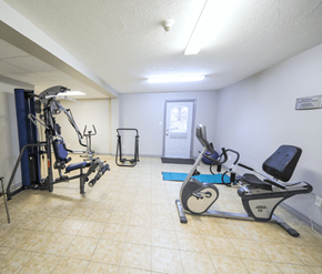 Moncton apartment for rent - A gym room with a treadmill, weights, and a bench press.
