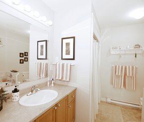 Fredericton apartment for rent - A bathroom with a sink, mirror, and towel rack.