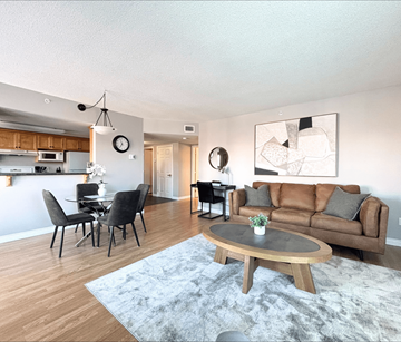 Moncton apartment for rent - A modern living room with a grey rug and a brown couch.