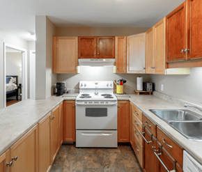 Moncton apartment for rent - A kitchen with a stove top oven and wooden cabinets.