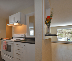 Halifax apartment for rent - 67 and 141 Harlington Kitchen Livingroom