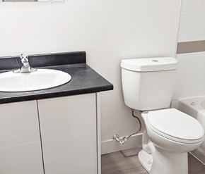 Fredericton apartment for rent - A white toilet is next to a sink in a bathroom.
