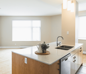 St. Johns apartment for rent - A kitchen with a sink and a window.