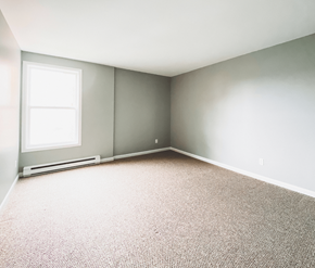 St. John's apartment for rent - A room with a window and a carpeted floor.