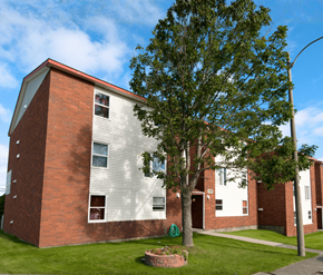St. John's apartment for rent - A tree in front of a brick building with a red roof.