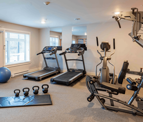 Saint John apartment for rent - A home gym with a treadmill, exercise bike, and weights.