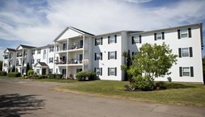 Stratford apartment for rent - A white apartment building with a tree in front.