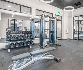 Kitchener apartment for rent - A gym with a variety of equipment including dumbbells, weight plates, and a leg press machine.