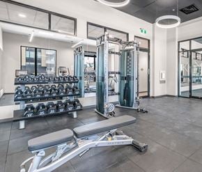 Kitchener apartment for rent - A gym with a variety of equipment including dumbbells, weight plates, and a leg press machine.