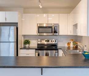 Fredericton apartment for rent - A modern kitchen with a stainless steel sink and black countertop.