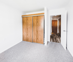 St. Johns apartment for rent - A room with a grey carpet and a wooden wardrobe.