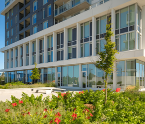 Ottawa apartment for rent - A modern building with a lot of windows and some plants in front.