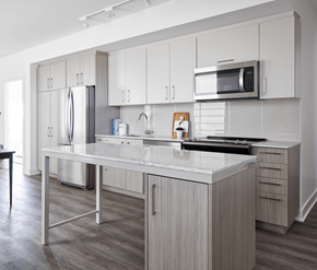 Ottawa apartment for rent - A modern kitchen with a stainless steel refrigerator, microwave, and a marble countertop.