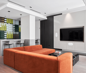 Ottawa apartment for rent - A modern living room with a brown sofa and a black television.