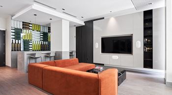 Frontier tv lounge