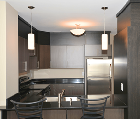 Dieppe apartment for rent - A modern kitchen with a stainless steel refrigerator and a sink.