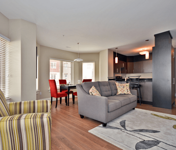 Dieppe apartment for rent - A living room with a grey couch and a striped armchair.
