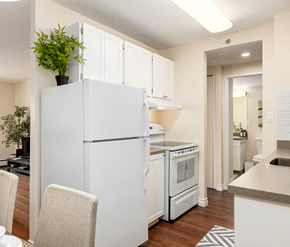 Calgary apartment for rent - A white refrigerator with a plant on top sits in a kitchen.