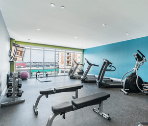 Dieppe apartment for rent - A gym with a view of the city.