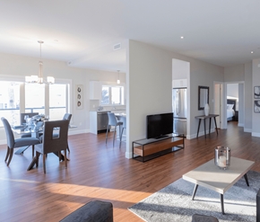 Dieppe apartment for rent - A modern living room with a fireplace and a dining area.