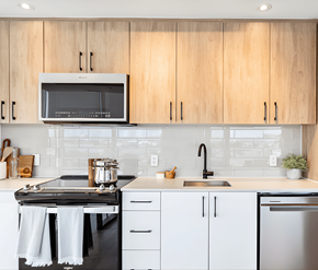 Ottawa apartment for rent - Luma kitchen
