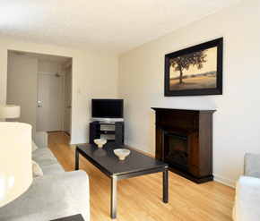 Dartmouth apartment for rent - Lakefront Apartments Living Room Fire Place