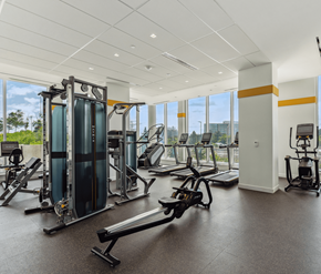 Ottawa apartment for rent - A gym with a variety of equipment including treadmills, weight machines, and benches.