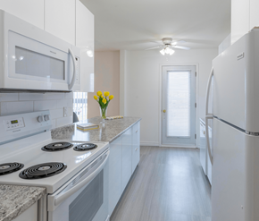 Moncton apartment for rent - A kitchen with white appliances and a vase of yellow flowers on the counter.
