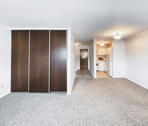 St. John's apartment for rent - A room with a carpeted floor and a set of three brown doors.