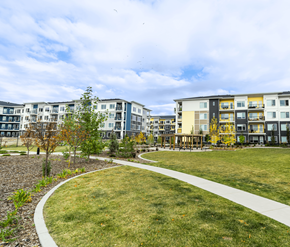 Calgary apartment for rent - A grassy area with a walkway and apartment buildings in the background.