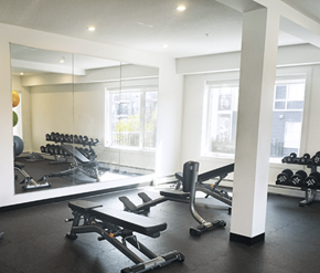 Calgary apartment for rent - A gym with a mirror, weights, and exercise equipment.