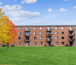 Waterloo apartment for rent - A tree with yellow leaves stands in front of a red brick apartment building.