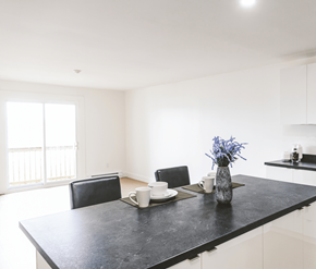 St. Johns apartment for rent - A black countertop with a vase of blue flowers and two cups on it.