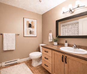 Dieppe apartment for rent - A bathroom with a toilet, sink, and a mirror.