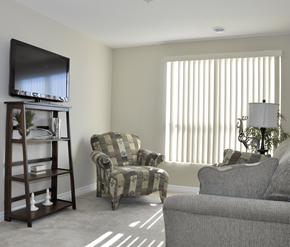 Cambridge apartment for rent - A living room with a television, two chairs, and a plant.