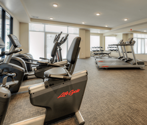 Cambridge apartment for rent - A gym with treadmills and elliptical machines.