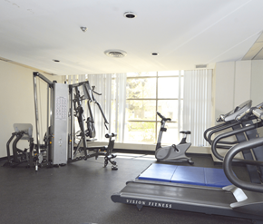 Mississauga apartment for rent - A gym with a treadmill, weights, and exercise equipment.