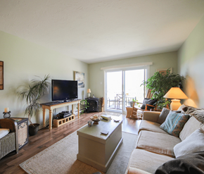 Riverview apartment for rent - Strathmore Apartments Living Room