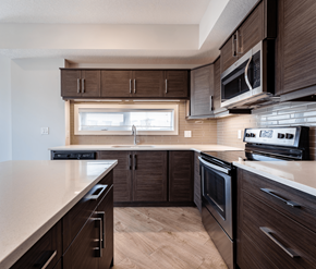 Edmonton apartment for rent - A modern kitchen with dark wood cabinets and stainless steel appliances.