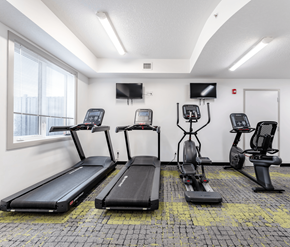 Edmonton apartment for rent - A gym with treadmills, exercise bikes, and a television.