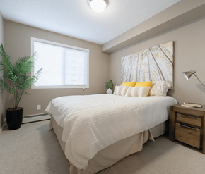 Sherwood Park apartment for rent - A bedroom with a large bed, a potted plant, and a lamp.