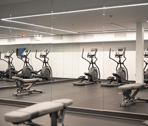 Sherwood Park apartment for rent - A gym with exercise bikes and a bench.