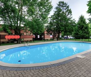 London apartment for rent - A small pool surrounded by trees and a black fence.
