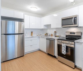Saint John apartment for rent - A modern kitchen with a stainless steel refrigerator, oven, and microwave.