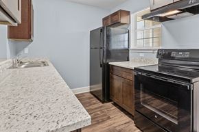 Beaumont apartment for rent - a kitchen with granite counter tops and a black refrigerator