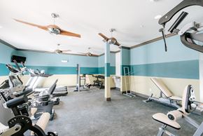 Beaumont apartment for rent - A gym with a variety of equipment including treadmills, exercise bikes, and weight machines.