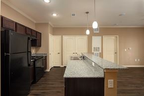 Beaumont apartment for rent - a kitchen with a granite counter top and a black refrigerator
